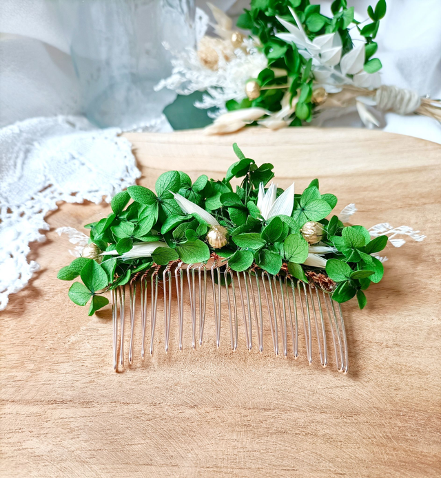 Peigne Jardin Botanique