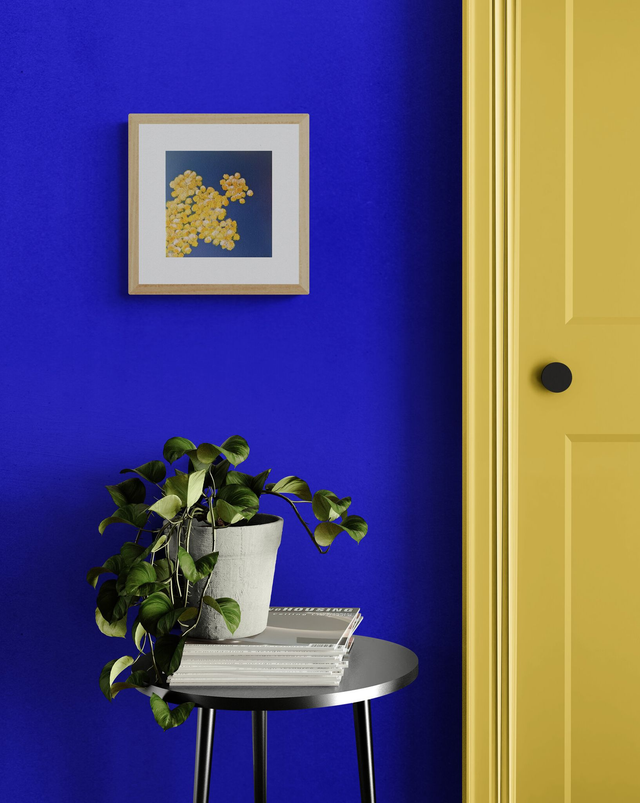 Huile sur toile | IMMORTELLES