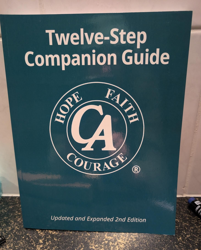 Twelve-Step Companion Guide