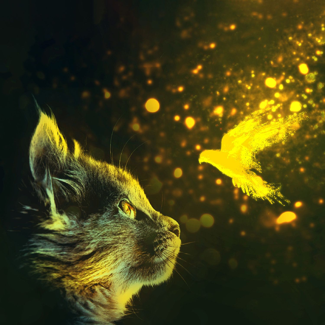 Energiebehandlung für Tiere