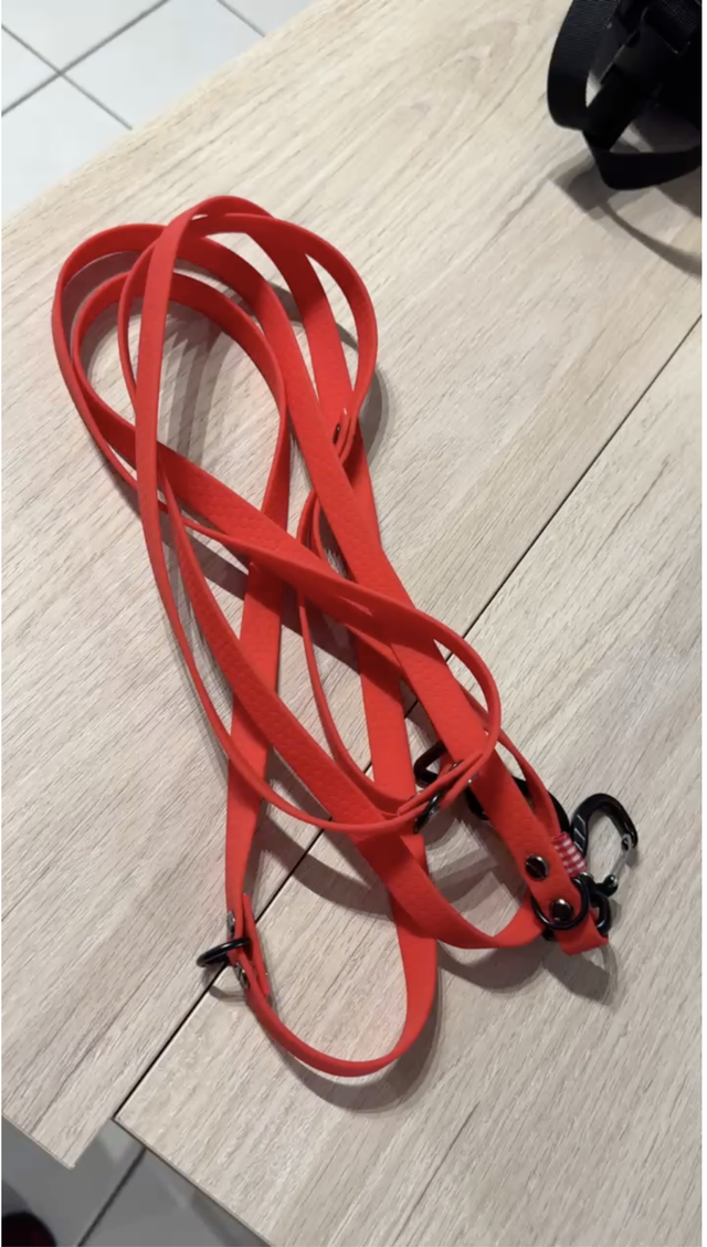 Laisse Canicode 3m Variable