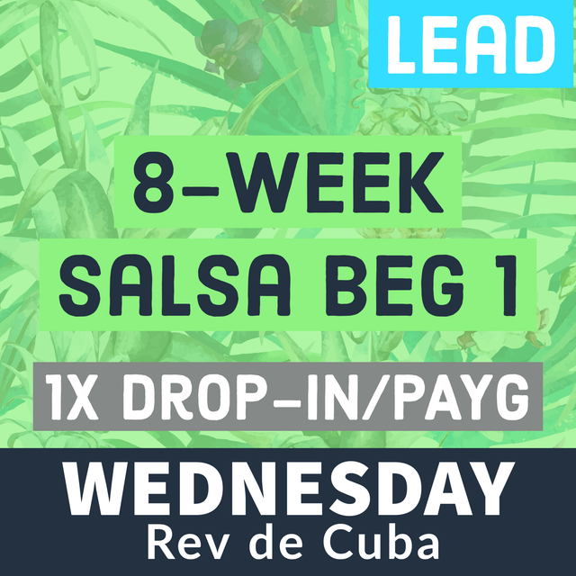 BEG 1 Drop-in WED - LEAD
