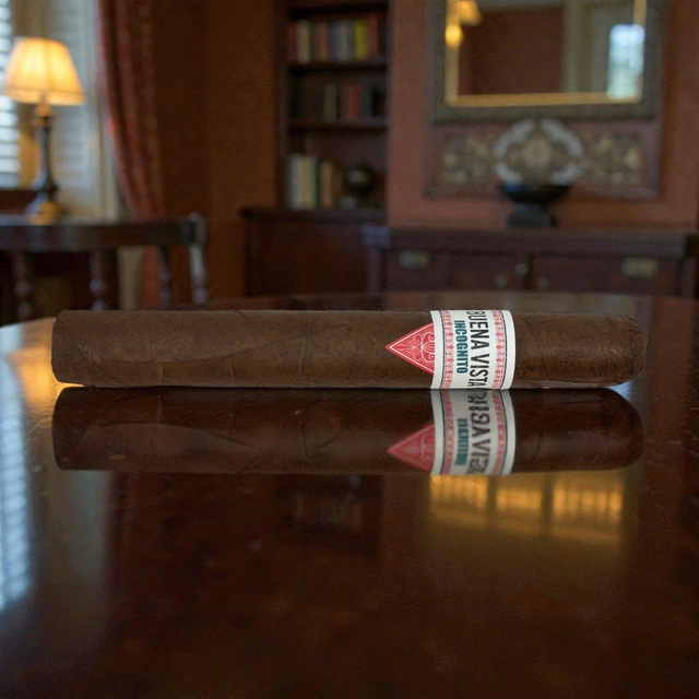 Buena Vista Incognito