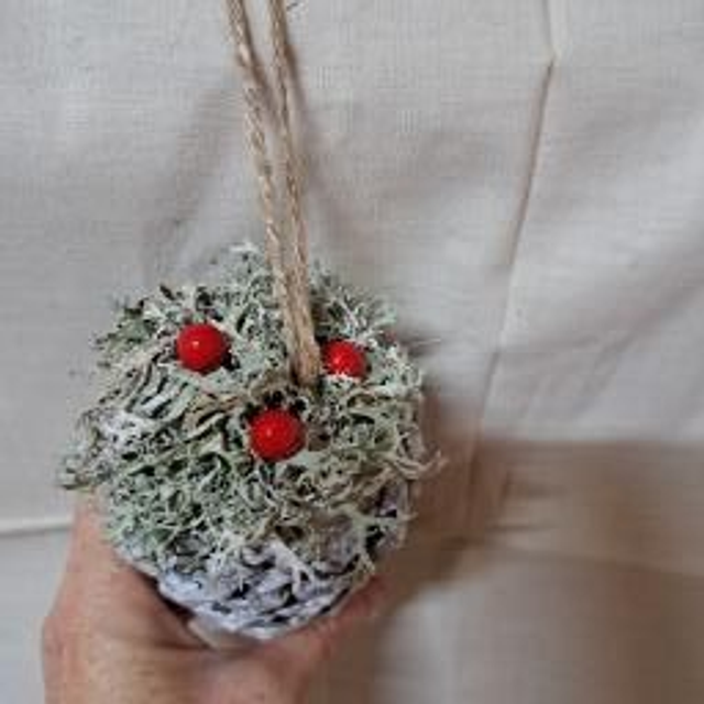 Pomme de pin enneigée et baies rouges