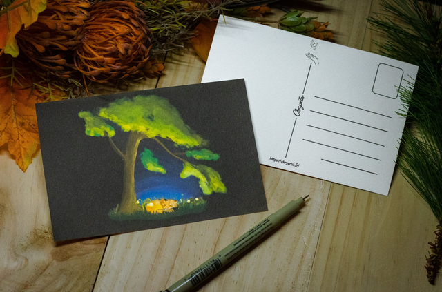 Pack Découverte Poétique – Édition limitée (5 exemplaires) ✨