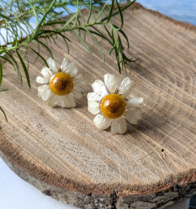 Pendientes margaritas mini