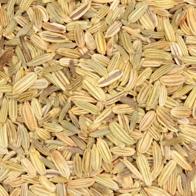 Venkelzaad (fennel seed) (Foeniculum vulgare) - BIO