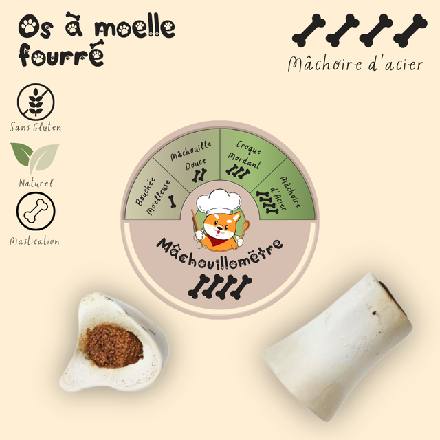 Os à moelle fourré