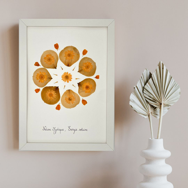 Herbier Energie solaire 