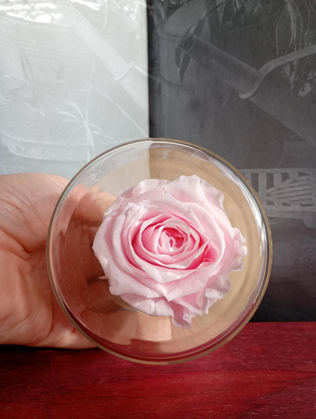 S06 unique rose rose