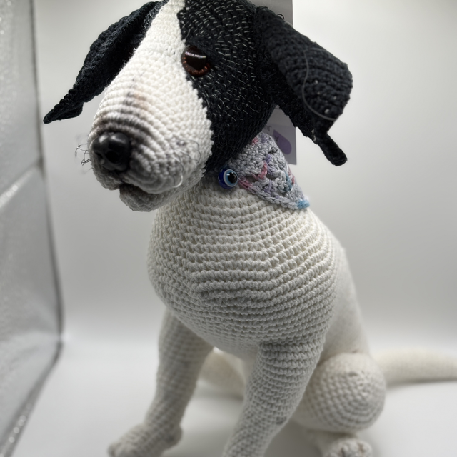 YOUR PET CUSTOM ODER