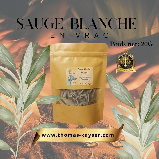 Sauge Blanche en Vrac 20g - Fumigation &amp; Purification