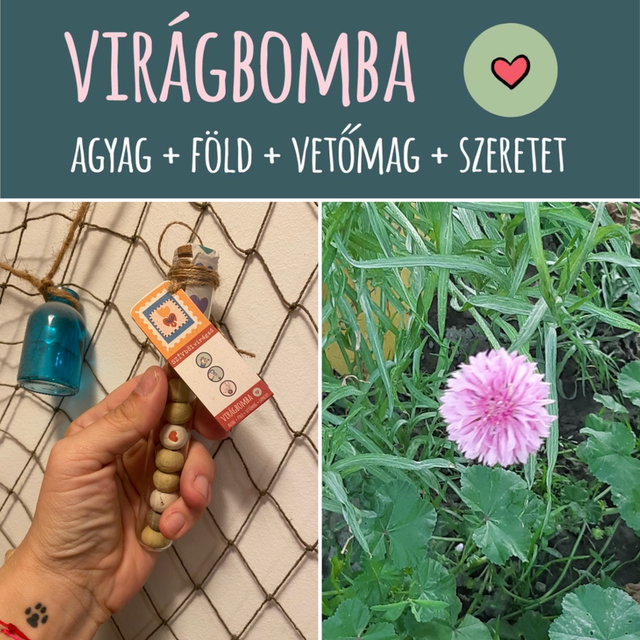 Szívből virágzó