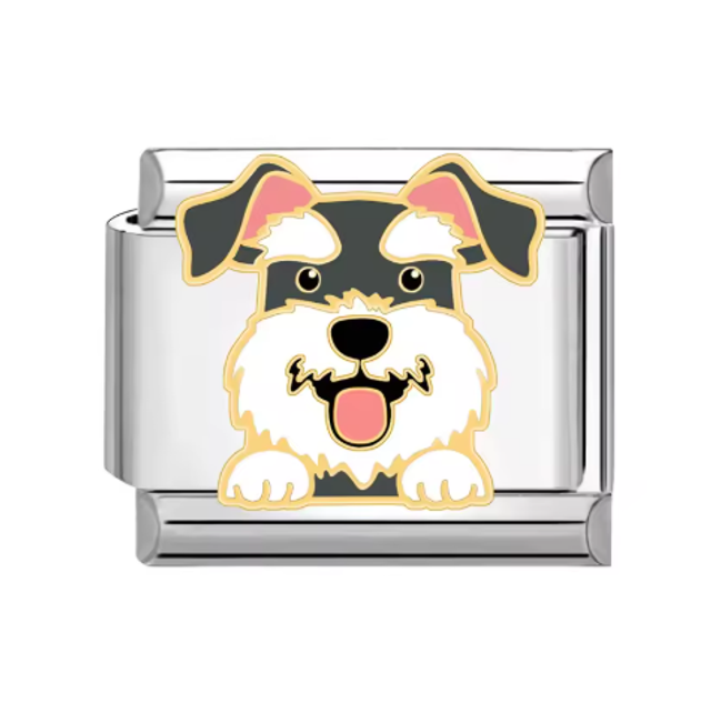 Charm Perrito Schnauzer