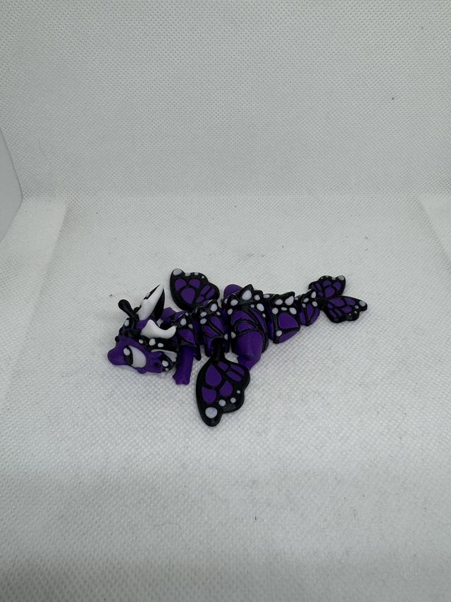 Bébé dragon papillon