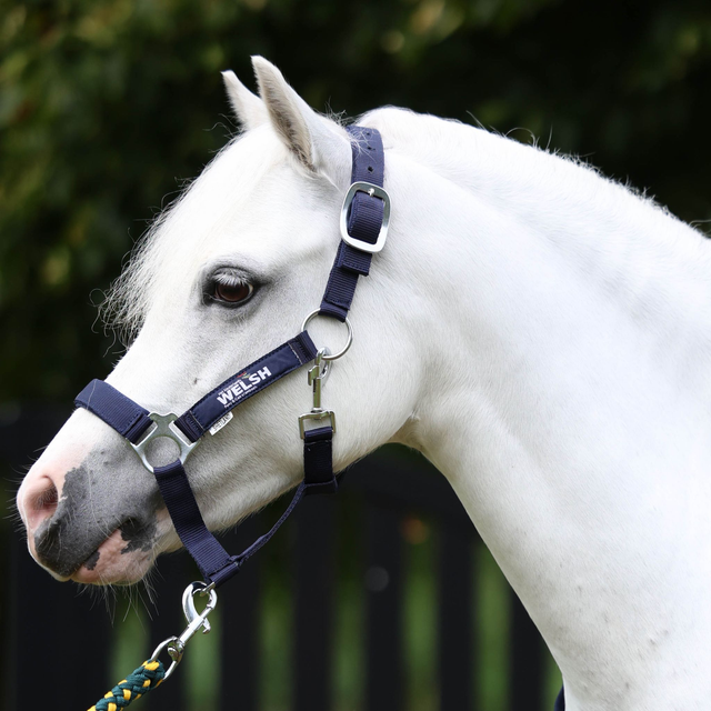 HORKA halster + touw