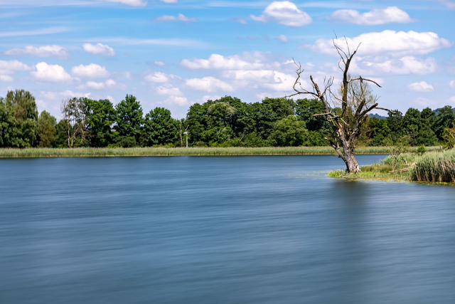 Lake-Try Moossee 70x100cm (P006)