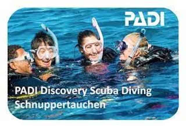 Schnuppertauchen 1 Tauchgang 