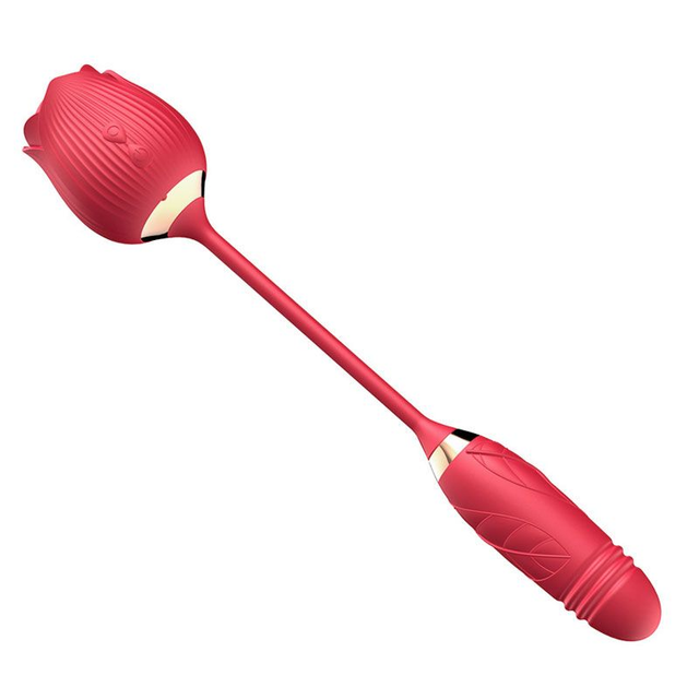 Vibrador Duplo Formato de Rosa e Penetrador 