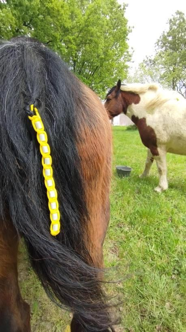 Perles EM-X contre les tiques pour chevaux 