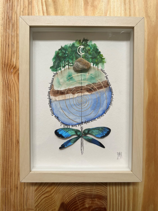 Libellule Cévennes 2