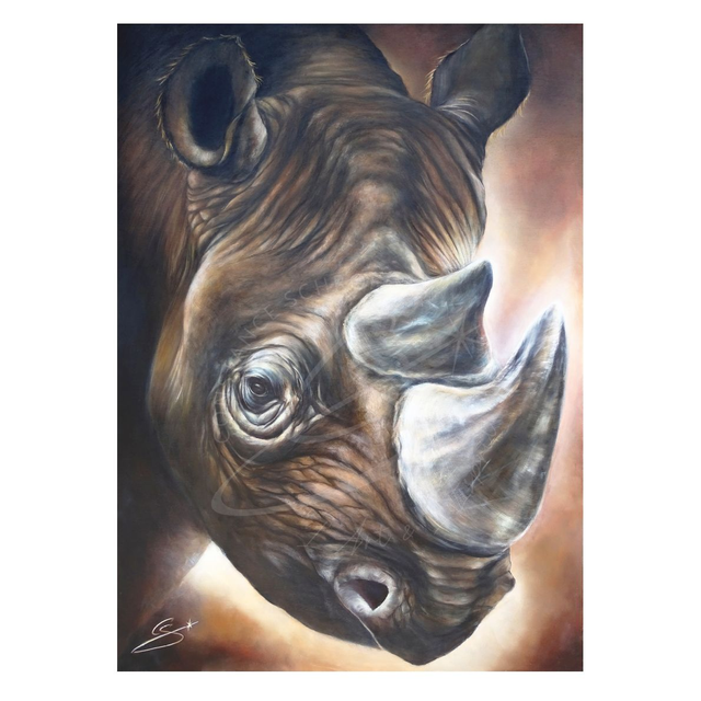 Rhinocéros noir
