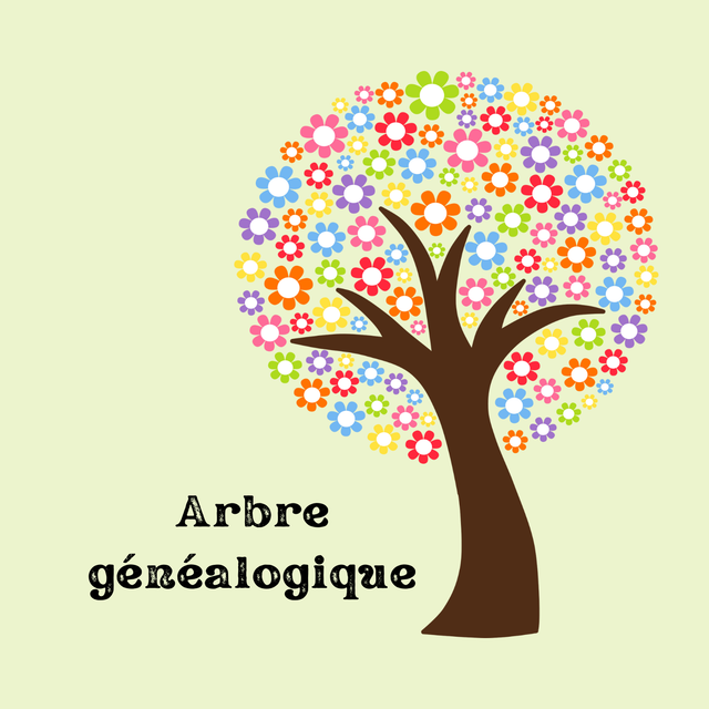 Arbre Généalogique 