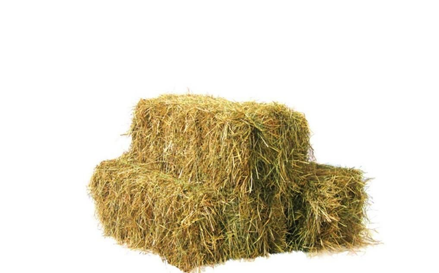 Hay Bale small 8-12kgs
