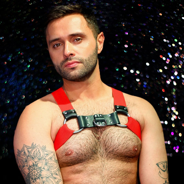 Red Chest Harness 