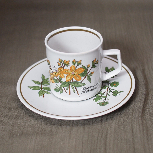 Winterling | Kop- en schotel &#039;Sint Janskruid&#039; decor Groen en gele kleur (diameter kopje 6,5 | hoogte 6 | diameter schotel 13,5 cm) | Vintage