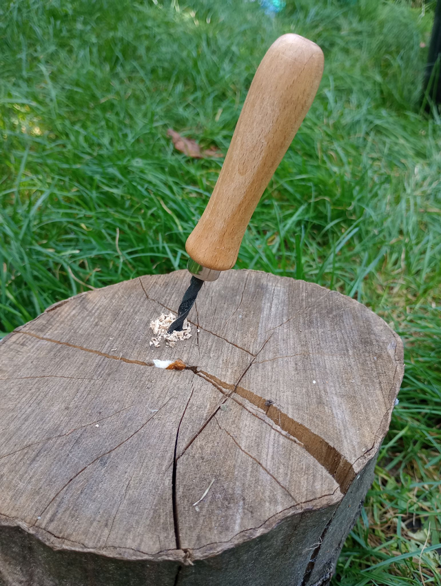 Medium Children's Palm Drill.