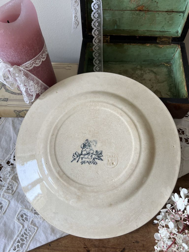 TREMIERES - Assiette Plate de la manufacture des Salins XIXème siècle - Terre de Fer