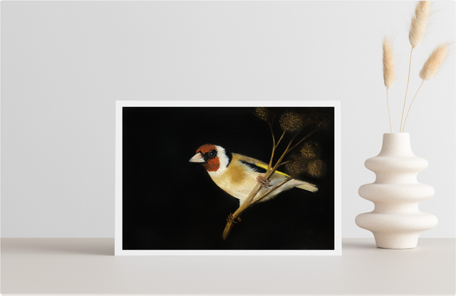 Goldfinch 