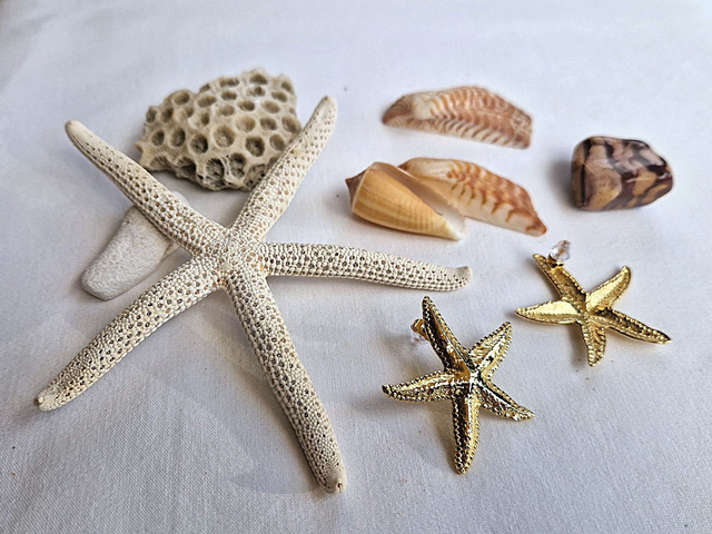 Boucles d'oreilles Etoile de mer en doré