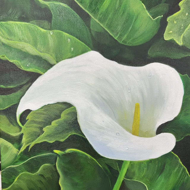Calla Lily Print 