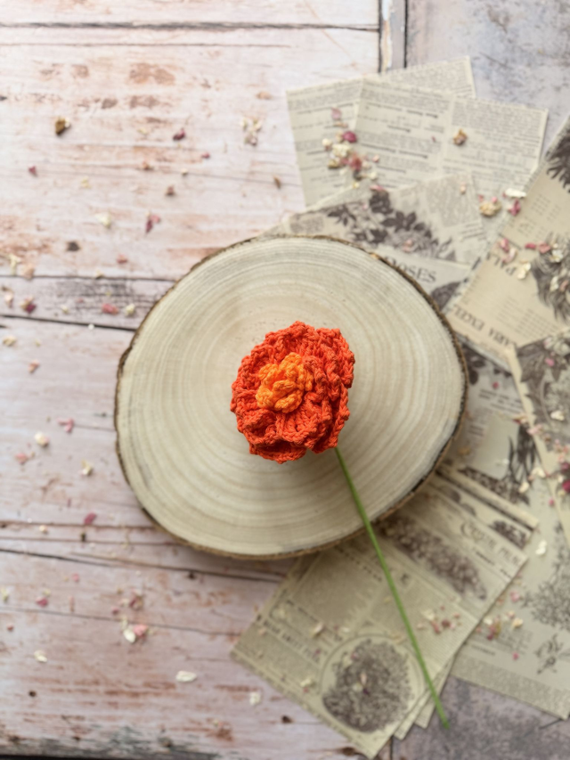 Œillet d’Inde (personnalisable pour créer votre bouquet)