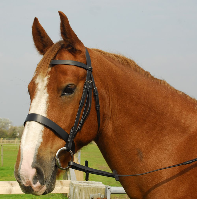 Heritage Hunter Bridle