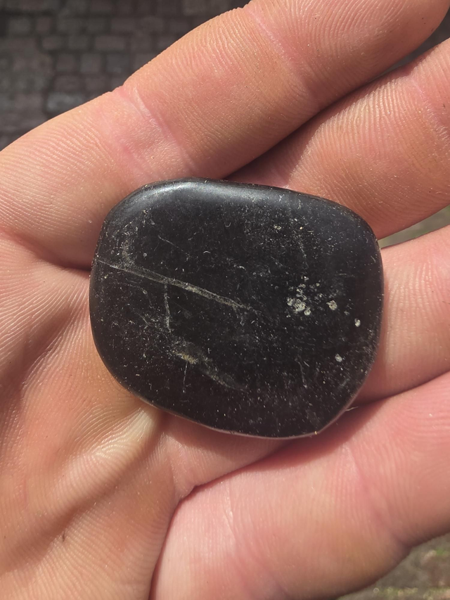 Shungite palmstone