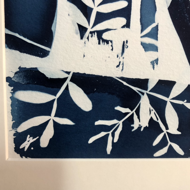 Cyanotype - « Laisse »