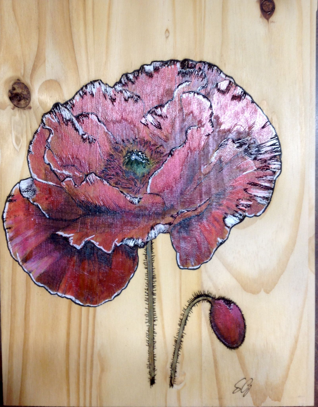 Tableau Coquelicot - Éclat Naturel et Artisanat 🌸✨