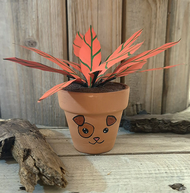 Baby plante &quot;Chien&quot;