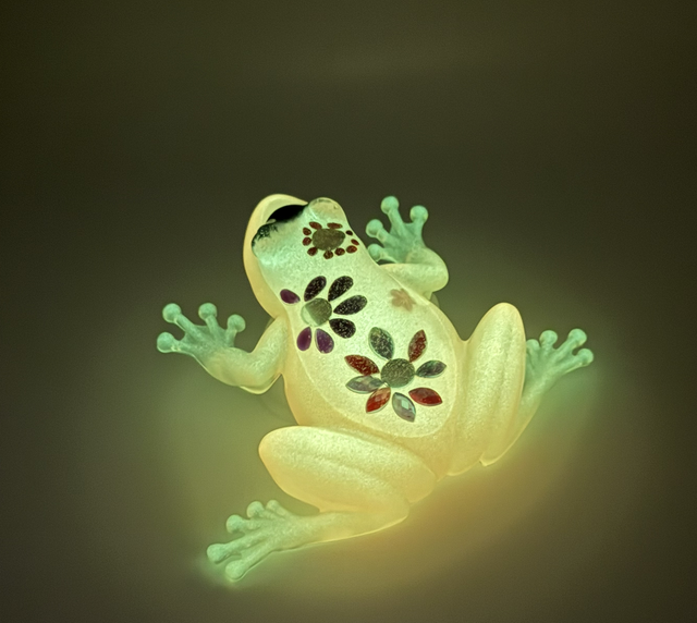 Grenouille Fleurs de printemps phosphorescente