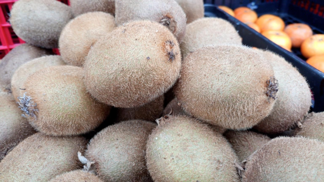 Kiwi