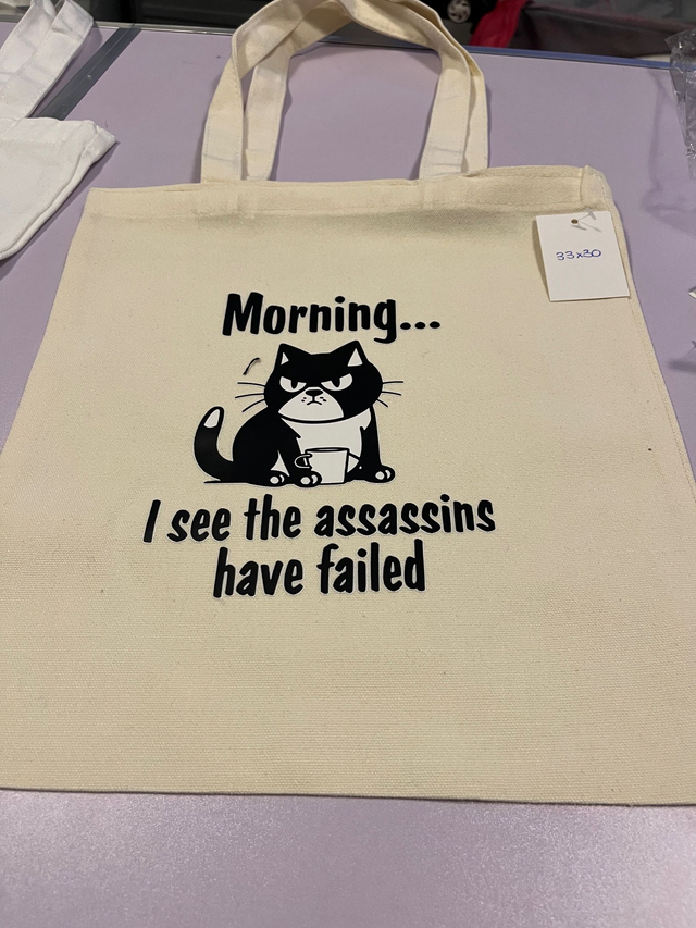 Morning... I See the Assassins Have Failed