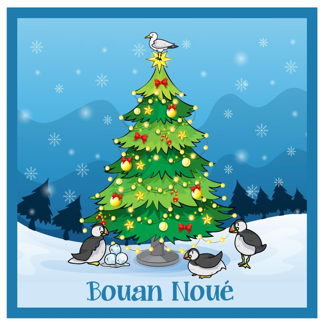 102 - CHRISTMAS CARD - Puffin Snowballs