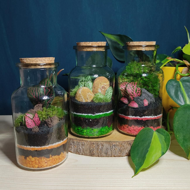 L&#039;Apothicaire *