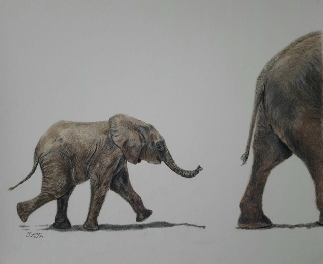'Wait For Me' Elephant Original Drawing