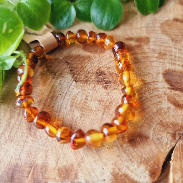 Baltic Amber On Elastic cord approx 15cm