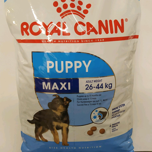 puppy maxi 15kg