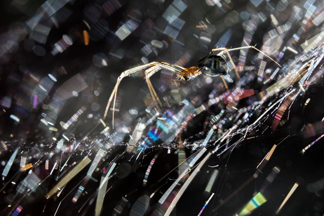 Tirage "Pluie métallique"